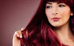 新不夜城综合论坛